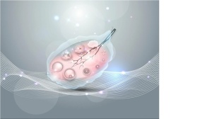 ДПП ПК «Актуальные направления современной контрацепции»
